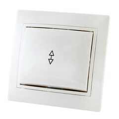 ჩამრთველი გამავალი 1 კლ. TDM 10 А  220 V