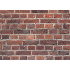 Panel PVC VOX Profile Vilo D Red Brick 25х265 cm