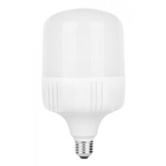 LED Lamp Linus 40W E27 6500K