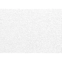 Wallpaper paintable Lanita С-19 1.06x25 m