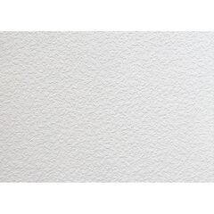 Wallpaper paintable Lanita С-83 1.06x25 m