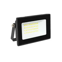 Floodlight EKF LED 30W 6500K IP65 SDO-3003