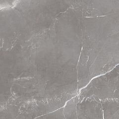 კერამოგრანიტი Halcon ceramicas P RODUM GRIS 9,5 R PRI 60X60სმ