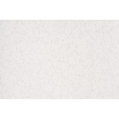 Wallpaper paintable Vilia 1061-11 1.06x25 m