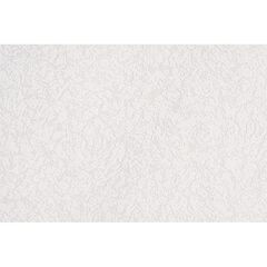 Wallpaper paintable Vilia 1065-11 1.06x25 m
