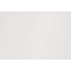 Wallpaper paintable Vilia 1066-11 1.06x25 m