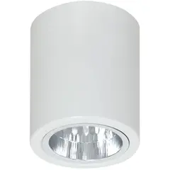 სანათი წერტილოვანი Luminex Downlight round 7234 D9 E27 60W თეთრი