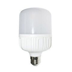ნათურა New Light T100-20W E27 4000K