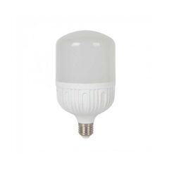 LED Lamp New Light T100 3000K 20W E27