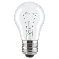 Лампа накаливания Linus PS55 Lin3-4210 60W E27
