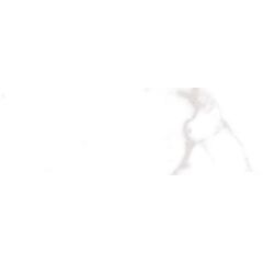 კაფელი Emotion ceramics PR MEMORY BLANCO BRILLO PRI. 20x60