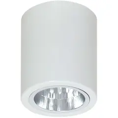 Светильник точечный Luminex Downlight round 7236 D11 1xE27 60W белый