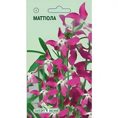 Mattiola seeds Elitsort Seeds 1 g