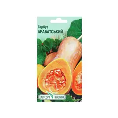 Pumpkin seeds Elitsort 20 pcs