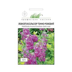 Seeds of Matthiola Elitsort EXSELSIOR dark pink 0.1 g