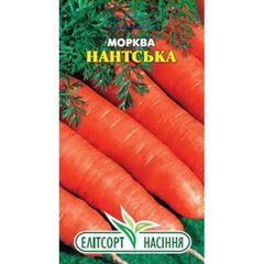 სტაფილოს თესლი ELITSORT Nantskaia 2 გრ