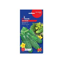 Cucumber seeds GL Seeds For Hobby Caesar F1 0.5 g
