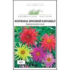 Dahlia seeds ELITSORT Star carnival mix 0.2 g
