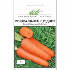 Carrot Seeds ELITSORT Shantane red core 1 g