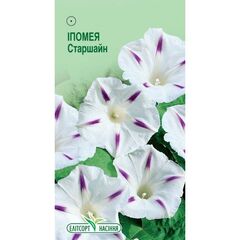 აბილილის თესლი ELITSORT пурпурная 1 გრ