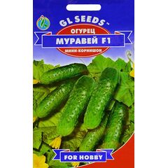 Семена Огурец GL SEEDS Муравей F1 5 г