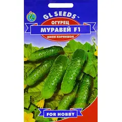 Seeds Cucumber GL SEEDS Ant F1 5 g