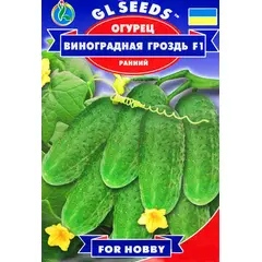 Seeds Cucumber GL SEEDS Bunch of grapes F1 10 pc