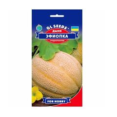 Семена дыня Elitsort Seeds зфиопка 2 г