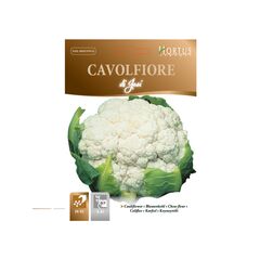 Cauliflower CAVOLFIORE 01 JESI MB 2 g