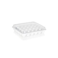 Container for storing eggs plastic PLAST ART yu-130 section 30