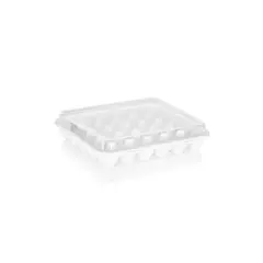 Container for storing eggs plastic PLAST ART yu-130 section 30
