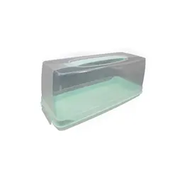 Eggs container  PLAST ART sa-475