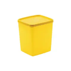Container of plastic Plast Art 2 l