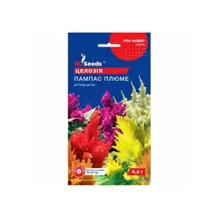 Celosia Seeds GL Seeds 0.2 For Hobby 0.2 g