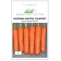 Carrot Seeds ELITSORT Nantes skarlet 1 g