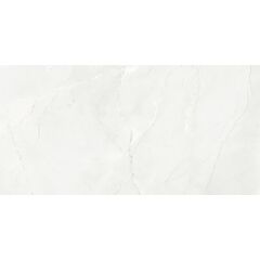 Кафель Itaca ETANIA SILVER GLOSSY 300X600мм