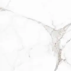 Tile Halcon Ceramicas Palatina BLANKO BRILLO 31,6*60