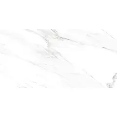 Керамогранит Emotion Ceramics Naos Brillo 300x600 мм