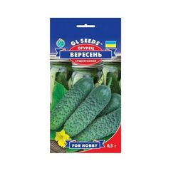 კიტრის თესლი Elitsort Seeds GL Seeds 0.5