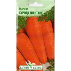 სტაფილოს თესლი ELITSORT Kuroda Shantane 1 გრ