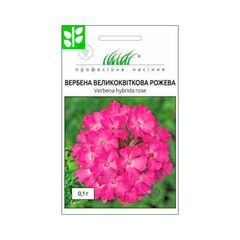 ვერბენას თესლი Elitsort Seeds მსხვილყვავილიანი ვარდისფერი 0.1