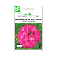 Verbena seeds Elitsort Seeds large-flowered pink 0.1