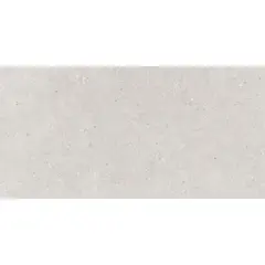 Tile Itaca DUBLIN GRIS MATT 300X600mm