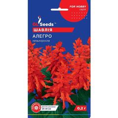 სალვიას თესლი Elitsort Seeds ალეგრო 0,1 გრ