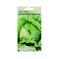 Seeds of salad Dolmatinka capitate Elitsort Seeds 1g