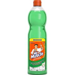 Средство для мытья стекол и других поверхностей SC Johnson Mr.Muscle 500 мл