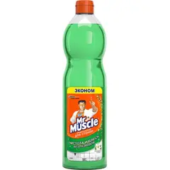 Glass and Surface Cleaner SC Johnson Mr.Muscle 500 ml
