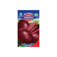 Beet Seeds GL Seeds 3g