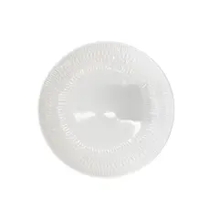 Plate CFS2365-1