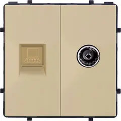 Socket Style Internet Socket CAT6 RJ45 TV Female gold